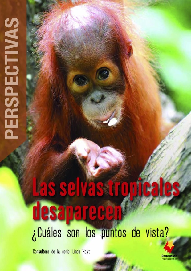 Perspectivas Las selvas tropicales: ¿Cuáles son los puntos de vista?